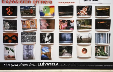 Efimera. Curioso