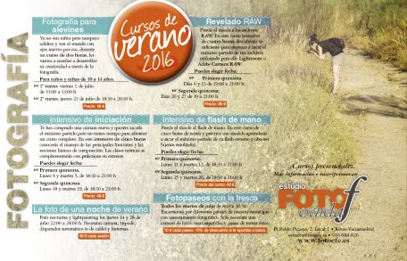 Cursos de verano